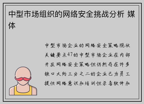 中型市场组织的网络安全挑战分析 媒体